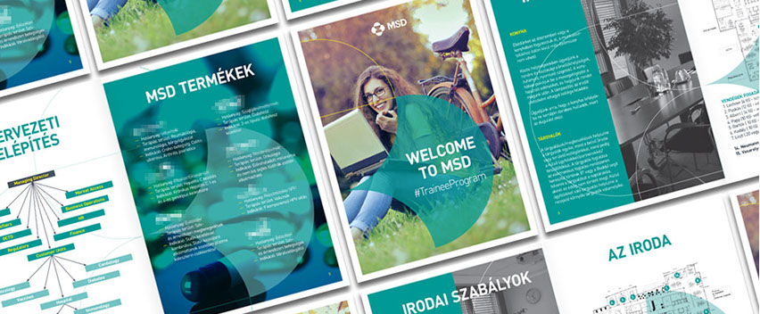 msd trainee program brochure