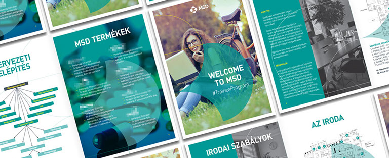 msd trainee program brochure