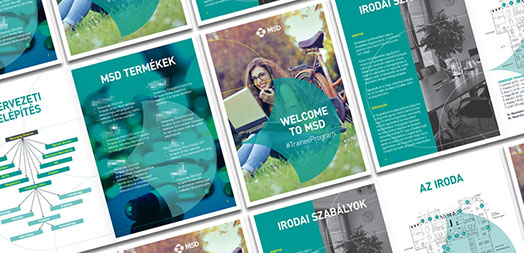 msd trainee program brochure