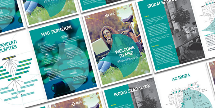 msd gyakornoki program brossúra