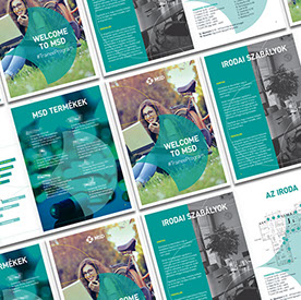 msd gyakornoki program brossúra