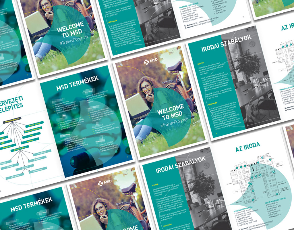 msd trainee program brochure