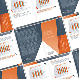 msd termék brossúra