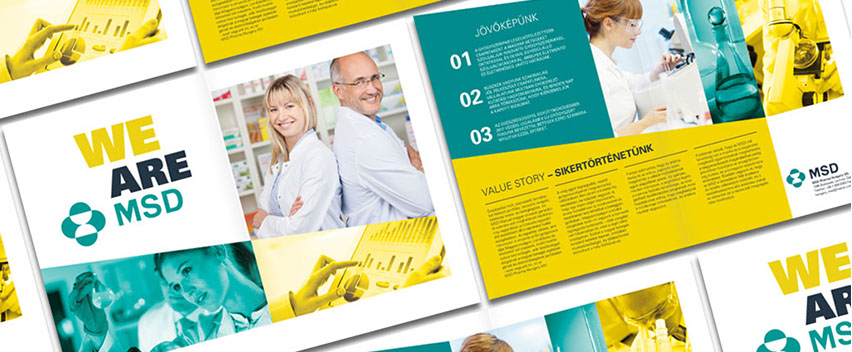 msd mi vagyunk az msd bemutatkozó szórólap