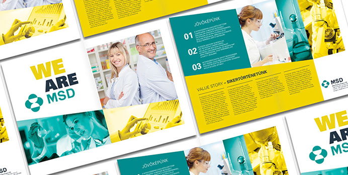 msd mi vagyunk az msd bemutatkozó szórólap
