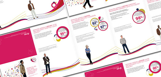 msd product brochure